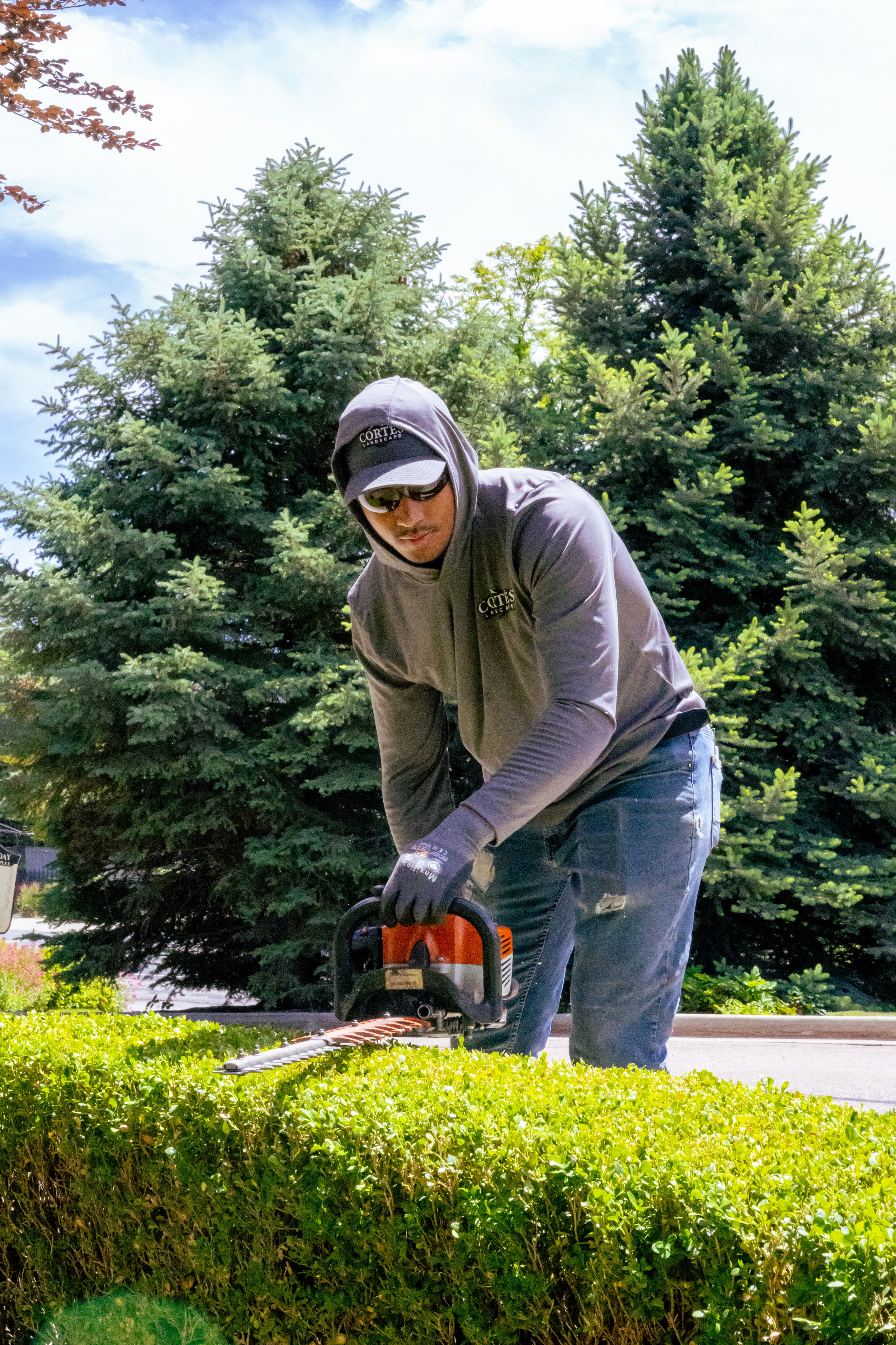 Landscaper in a grey hoodie uses a motorized trimmer to prune a green hedge.