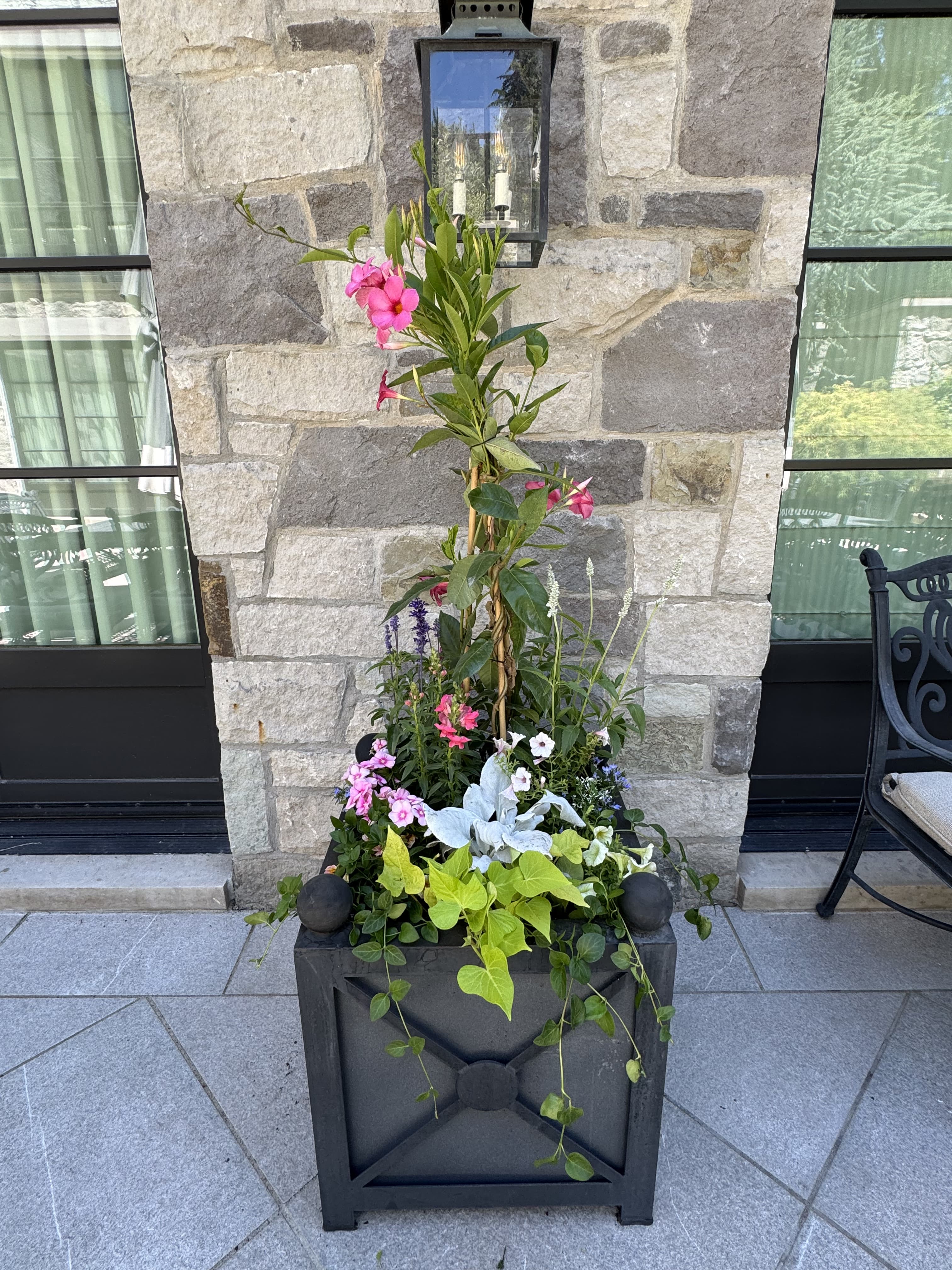 A black planter with tall pink flowers and trailing vines against a stone wall.